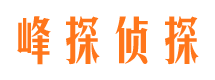 槐荫市调查公司